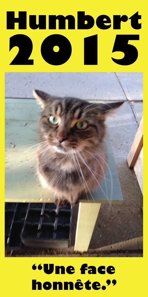 Humbert the Cat poster